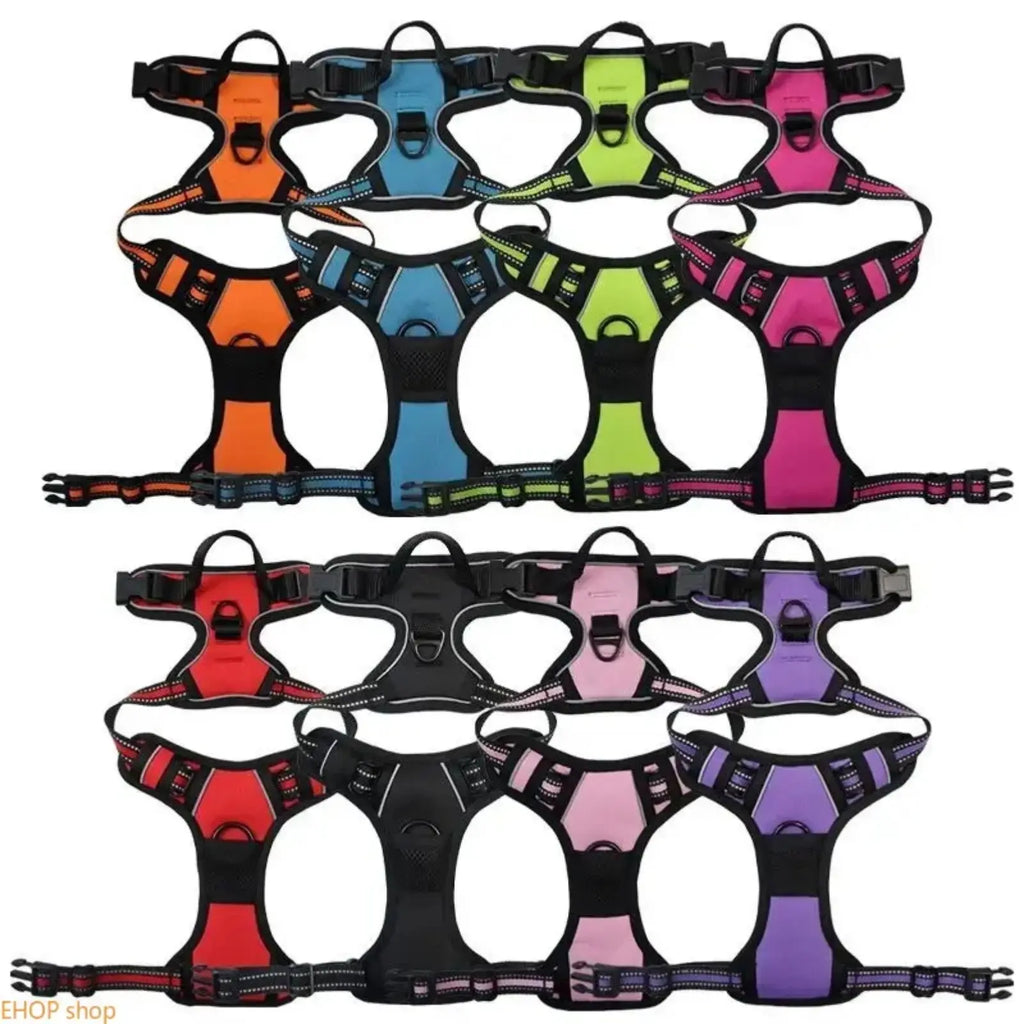 Unisex Heavy-Duty Nylon Dog Harness & Leash Set, Adjustable, Plain, Comfortable Chest Harness for Large Dogs, Durable Pet Outdoor Accessory for Daily Walks, Training