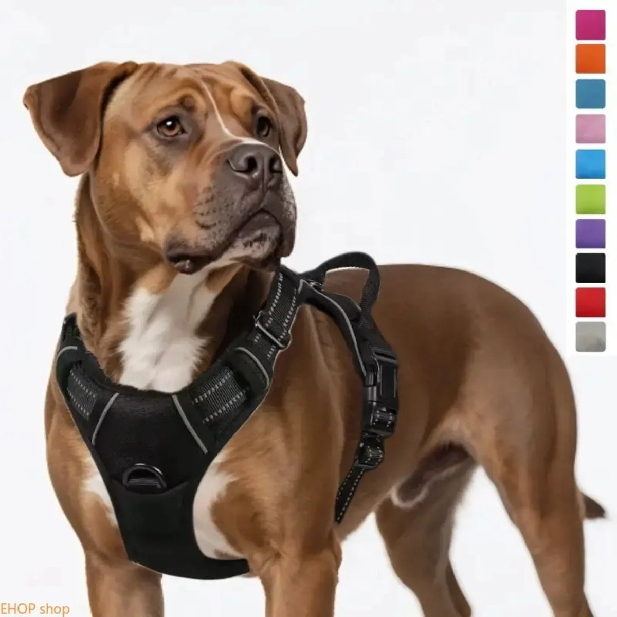 Unisex Heavy-Duty Nylon Dog Harness & Leash Set, Adjustable, Plain, Comfortable Chest Harness for Large Dogs, Durable Pet Outdoor Accessory for Daily Walks, Training