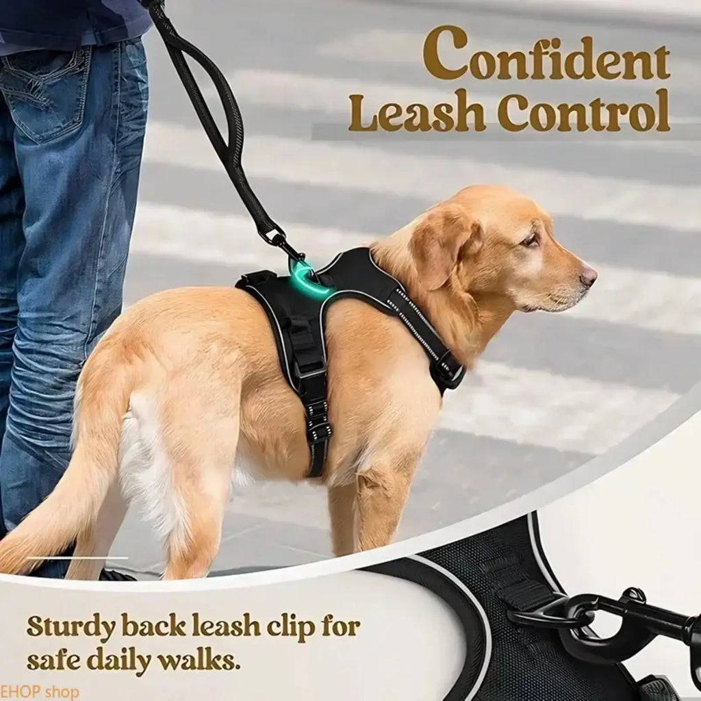 Unisex Heavy-Duty Nylon Dog Harness & Leash Set, Adjustable, Plain, Comfortable Chest Harness for Large Dogs, Durable Pet Outdoor Accessory for Daily Walks, Training