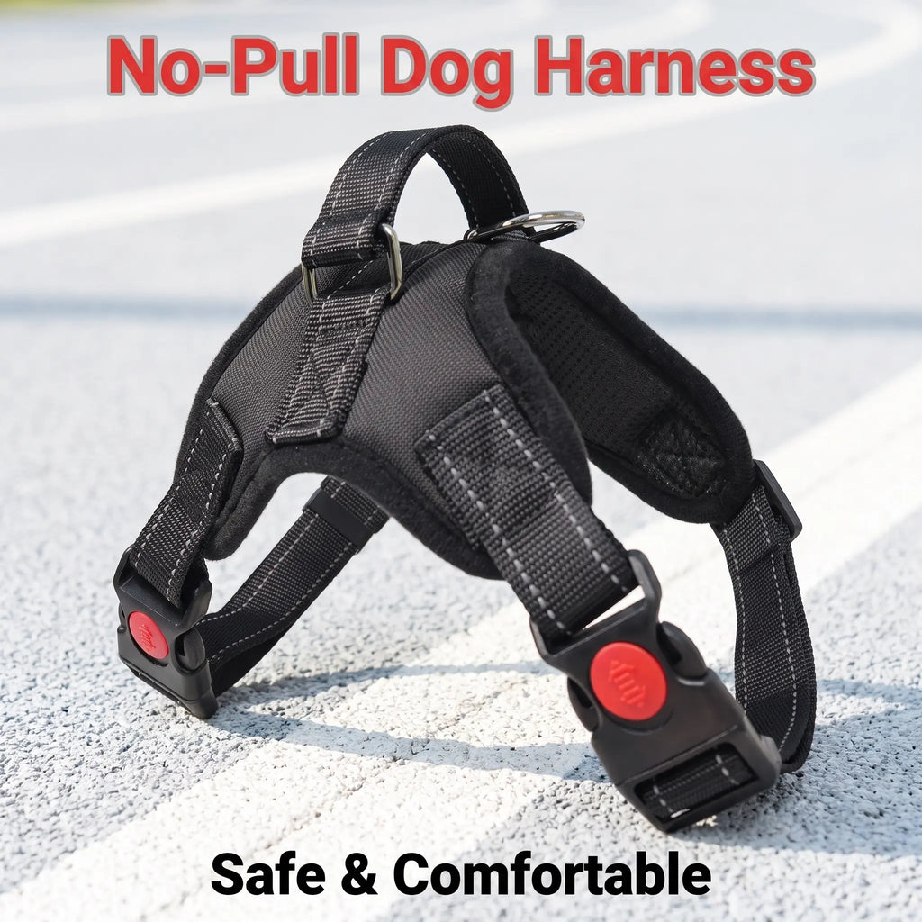 No Pull Durable Reflective No Choke Universal Dog Harness & Leash Set - 5FT Leash, Adjustable, Breathable, Easy On/Off, Waterproof for Hiking, Training, Safe Daily Walks, Puppy Use