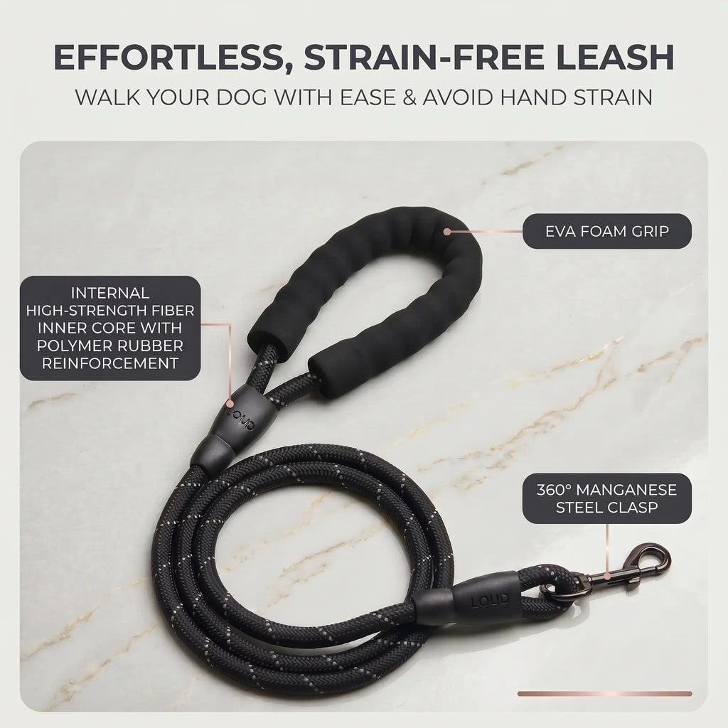 No Pull Durable Reflective No Choke Universal Dog Harness & Leash Set - 5FT Leash, Adjustable, Breathable, Easy On/Off, Waterproof for Hiking, Training, Safe Daily Walks, Puppy Use
