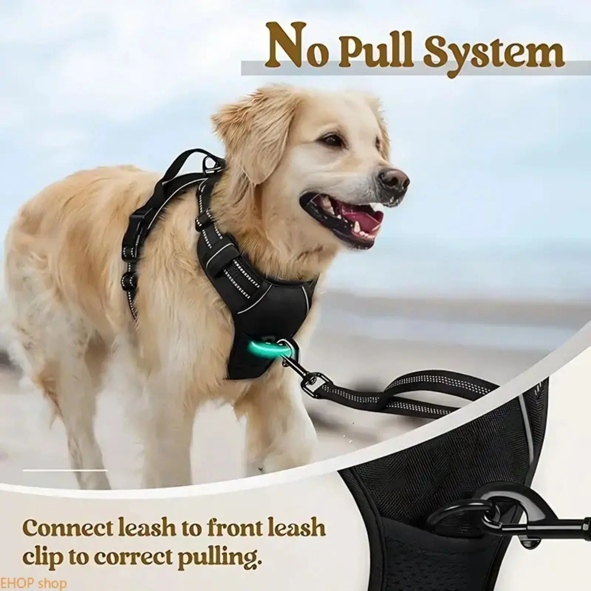 Unisex Heavy-Duty Nylon Dog Harness & Leash Set, Adjustable, Plain, Comfortable Chest Harness for Large Dogs, Durable Pet Outdoor Accessory for Daily Walks, Training