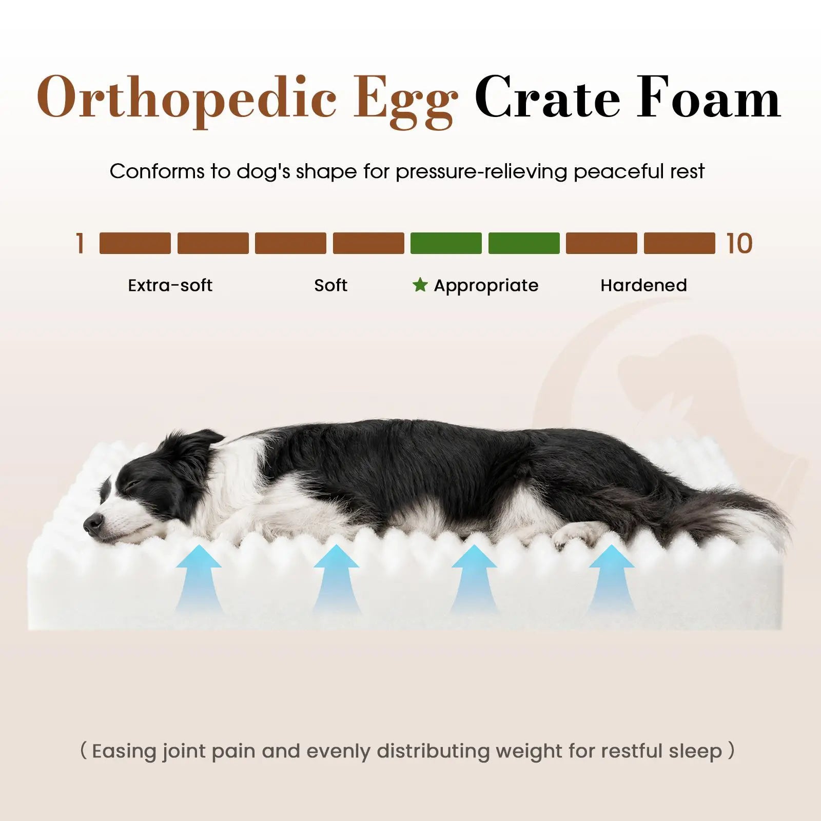 【Sohochic】 Cozila Modern Washable Orthopedic Dog Bed - Egg Crate Foam, Waterproof Liner, Non-Slip Bottom, All-Day Relief, Multi-Size, Weight Distribution for Medium & Large Dogs | Back to School, Camping Essentials