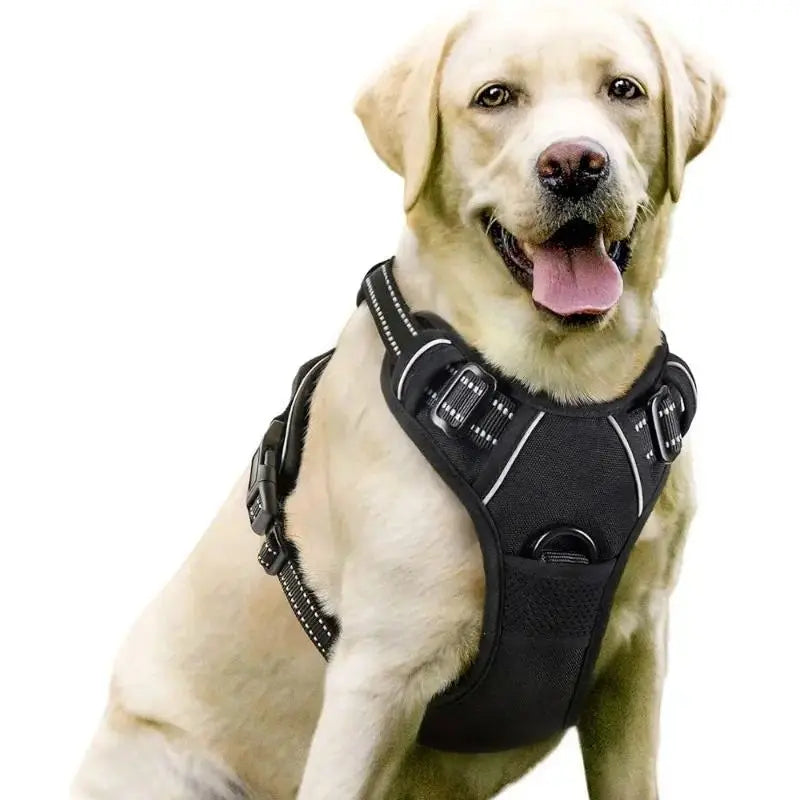 Unisex Heavy-Duty Nylon Dog Harness & Leash Set, Adjustable, Plain, Comfortable Chest Harness for Large Dogs, Durable Pet Outdoor Accessory for Daily Walks, Training