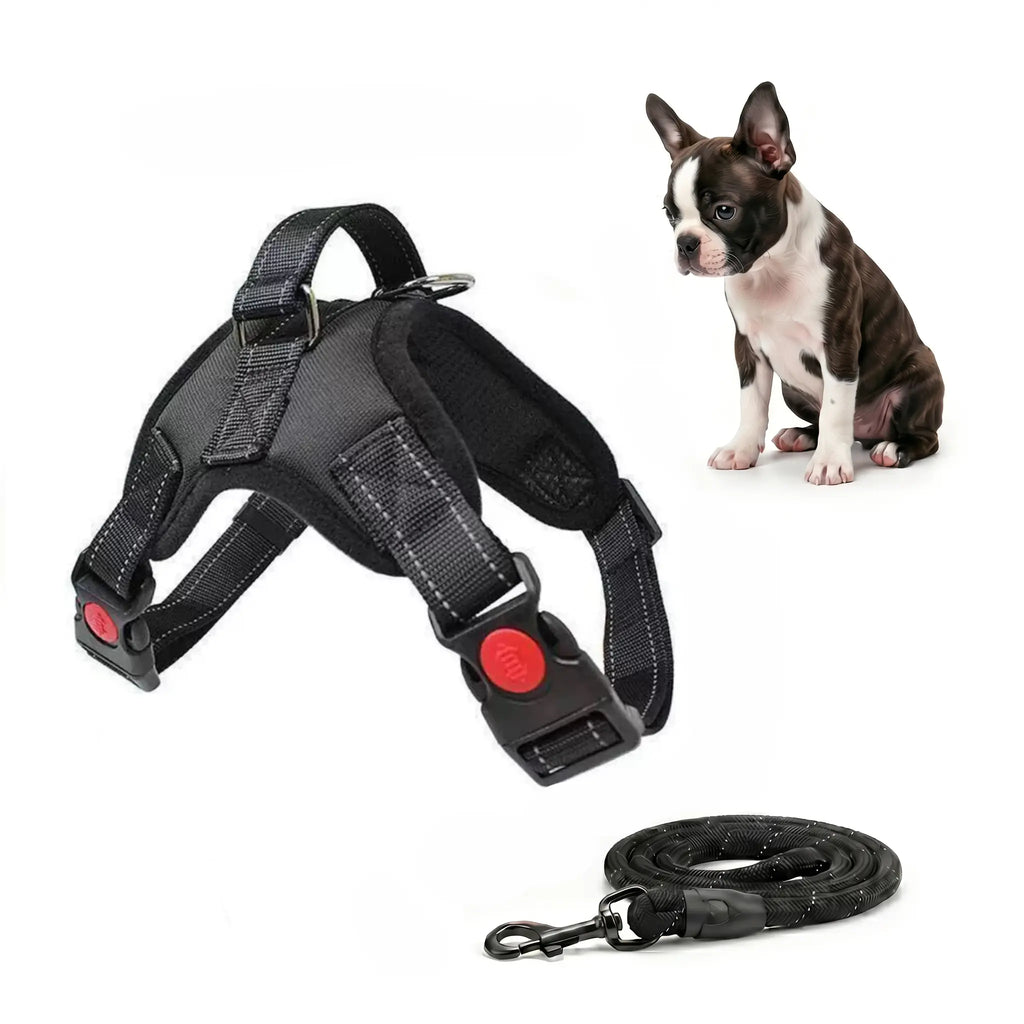 No Pull Durable Reflective No Choke Universal Dog Harness & Leash Set - 5FT Leash, Adjustable, Breathable, Easy On/Off, Waterproof for Hiking, Training, Safe Daily Walks, Puppy Use